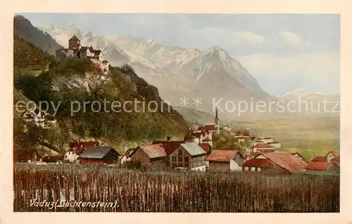 AK / Ansichtskarte 73801969 Vaduz_Liechtenstein_FL Panorama 