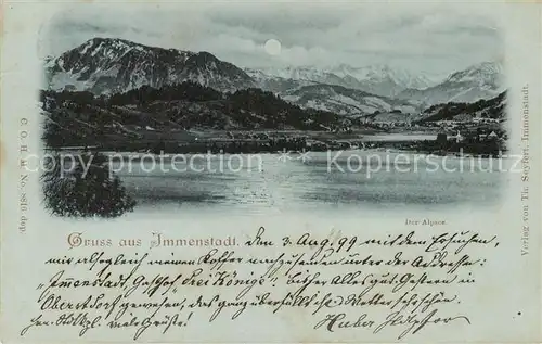 AK / Ansichtskarte 73802978 Immenstadt_Allgaeu Panorama mit Alpsee Immenstadt_Allgaeu