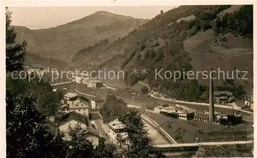 AK / Ansichtskarte 73803177 Alexisbad_Harz Panorama Alexisbad_Harz