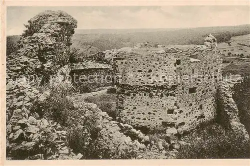 AK / Ansichtskarte 73803392 Burg_Greifenstein_Westerwald Ruine Panorama Burg_Greifenstein