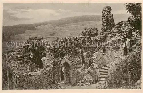 AK / Ansichtskarte 73803393 Burg_Greifenstein_Westerwald Ruine Panorama Burg_Greifenstein