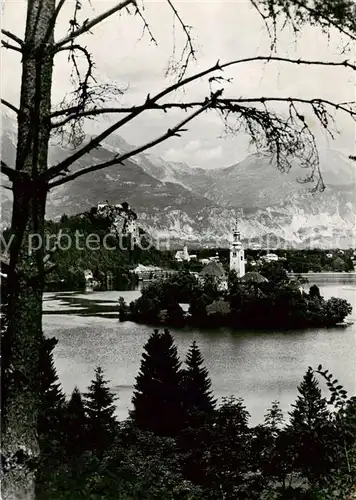 AK / Ansichtskarte 73803782 Bled Panorama Bled