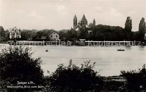 AK / Ansichtskarte 73803845 Speyer_Rhein Rheinpartie Blick zum Dom Speyer Rhein