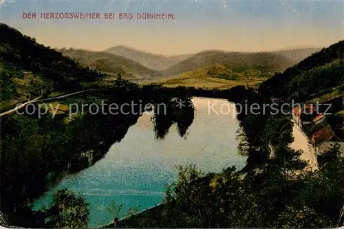 AK / Ansichtskarte 73803864 Bad_Duerkheim Der Herzogsweiher Panorama Bad_Duerkheim