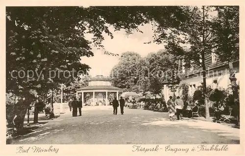 AK / Ansichtskarte 73804949 Bad_Meinberg Kurpark Eingang und Trinkhalle Bad_Meinberg