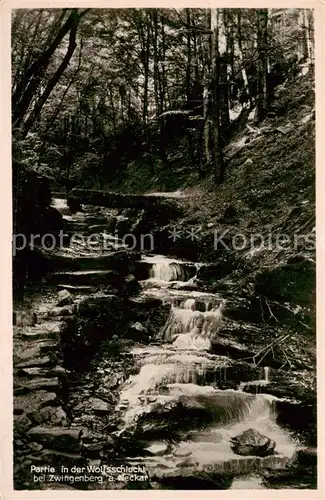 AK / Ansichtskarte 73804984 Zwingenberg_Neckar Partie in der Wolfsschlucht Zwingenberg Neckar