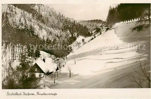 AK / Ansichtskarte 73805432 Bad_Kudowa_Kudowa-Zdroj_Niederschlesien_PL Heuscheuerstrasse 