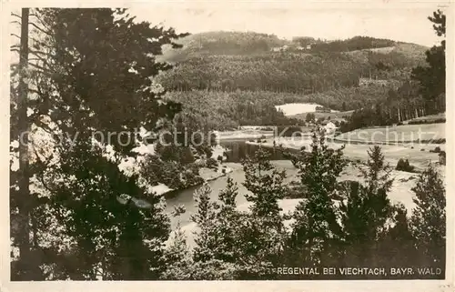 AK / Ansichtskarte 73808054 Viechtach_Bayerischer_Wald Regental Viechtach_Bayerischer