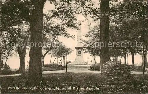 AK / Ansichtskarte 73808213 Bad_Harzburg Burgbergplateau mit Bismarcksaeule Bad_Harzburg