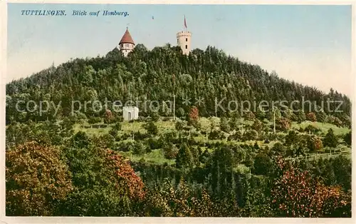 AK / Ansichtskarte 73808462 Tuttlingen Blick zur Honburg Tuttlingen