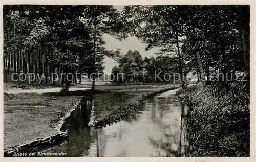 AK / Ansichtskarte 73809637 Briese_Birkenwerder Landschaftspanorama Briese Birkenwerder