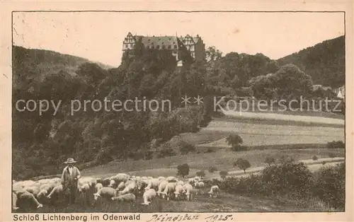 AK / Ansichtskarte 73809688 Lichtenberg_Odenwald Schloss Lichtenberg Schaefer mit Herde Lichtenberg Odenwald