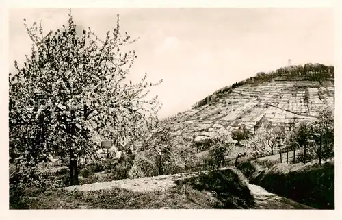 AK / Ansichtskarte 73809912 Heppenheim_Bergstrasse Panorama Mandelbluete Heppenheim_Bergstrasse