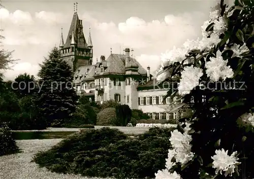 AK / Ansichtskarte 73810211 Weinheim_Bergstrasse Bluetenzauber im Schlosspark Weinheim_Bergstrasse