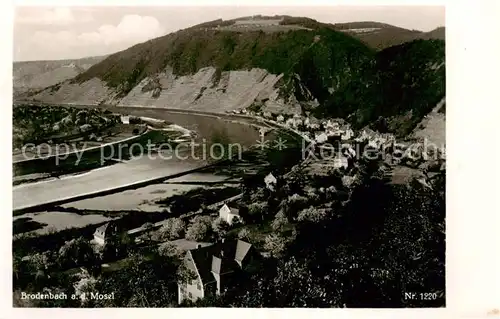 AK / Ansichtskarte 73810509 Brodenbach_Mosel Panorama 