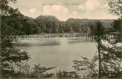 AK / Ansichtskarte 73810843 Holsteinische_Schweiz Am Uglei See Holsteinische_Schweiz