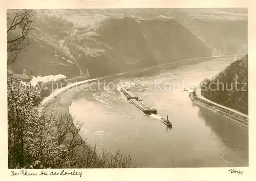 AK / Ansichtskarte 73811122 St_Goar_Rhein bei der Loreley 