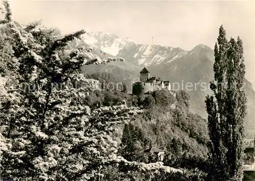 AK / Ansichtskarte 73811203 Liechtenstein_Fuerstentum Schloss Vaduz 