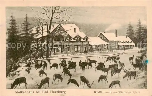 AK / Ansichtskarte 73811481 Bad_Harzburg Molkenhaus Wildfuetterung am Wintersportplatz Bad_Harzburg