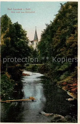 AK / Ansichtskarte 73811572 Bad_Landeck_Schlesien_PL Blick nach dem Bieleschloss 