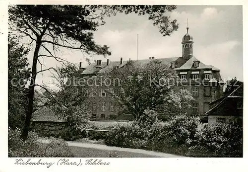 AK / Ansichtskarte 73812924 Liebenburg Schloss Liebenburg