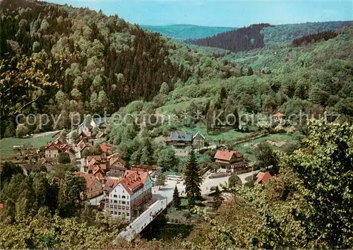 AK / Ansichtskarte 73812959 Treseburg_Harz Panorama Treseburg Harz