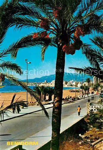 AK / Ansichtskarte 73813231 Benidorm_ES Promenade 