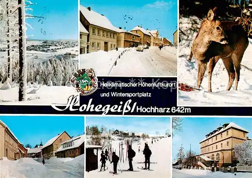 AK / Ansichtskarte 73813854 Hohegeiss_Harz Winterimpressionen Rehkitz Hohegeiss Harz