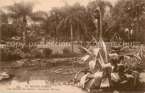 AK / Ansichtskarte 73814144 Monte-Carlo_Monaco Les Jardins du Casino La petite Afrique 