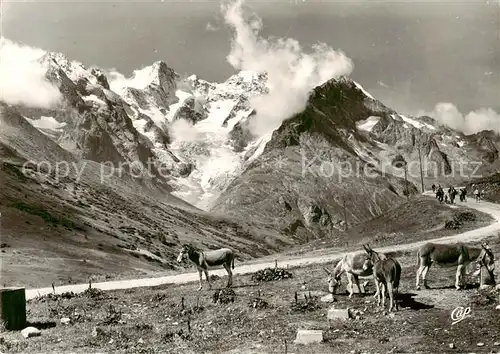 AK / Ansichtskarte Col_du_Lautaret_04 Route du Col Massif de la Meije et Glacier de l Homme 