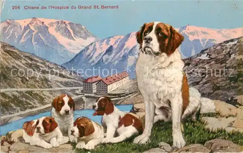 AK / Ansichtskarte  Grand_St_Bernard_VS Chiens de lHospice Bernhardiner Welpen 