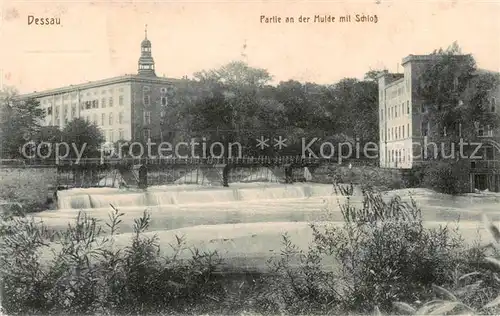 AK / Ansichtskarte 73816638 Dessau-Rosslau Partie an der Mulde mit Schloss Dessau-Rosslau