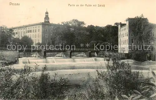 AK / Ansichtskarte 73816668 Dessau-Rosslau Partie an der Mulde mit Schloss Dessau-Rosslau