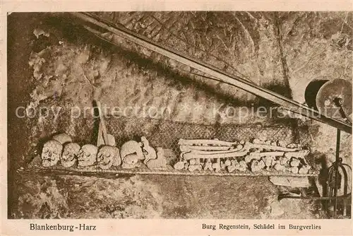 AK / Ansichtskarte 73817135 Blankenburg_Harz Burg Regenstein Schaedel im Burgverlies Blankenburg_Harz