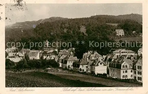 AK / Ansichtskarte 73817400 Bad_Salzbrunn_Szczawno-Zdroj_PL Panorama von der Prinzenhoehe 