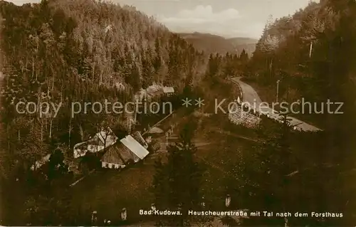 AK / Ansichtskarte 73817535 Bad_Kudowa_Kudowa-Zdroj_Niederschlesien_PL Heuscheuerstrasse mit Tal nach dem Forsthaus 