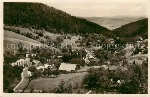 AK / Ansichtskarte 73817960 Agnetendorf_ Jagniatkow_Jelenia_Gora_Riesengebirge_PL Panorama 