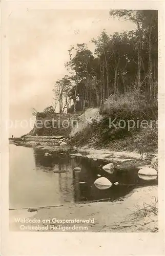 AK / Ansichtskarte 73818105 Heiligendamm_Ostseebad Waldecke am Gespensterwald Heiligendamm_Ostseebad