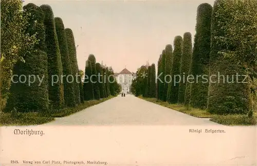 AK / Ansichtskarte 73818518 Moritzburg_Sachsen Koeniglicher Hofgarten Moritzburg Sachsen