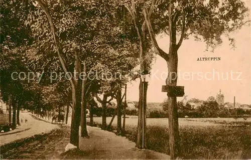 AK / Ansichtskarte 73818542 Altruppin Landstrasse Allee Blick zum Ort Altruppin