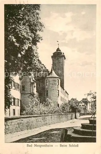 AK / Ansichtskarte 73818563 Bad_Mergentheim Partie beim Schloss Bad_Mergentheim