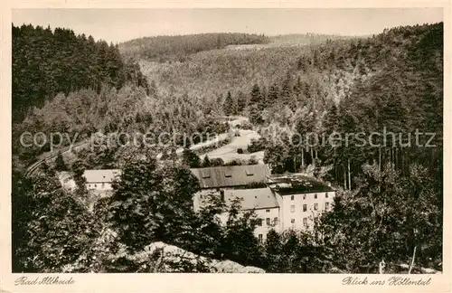 AK / Ansichtskarte 73818704 Bad_Altheide_Polanica-Zdrój Blick ins Hoellental 