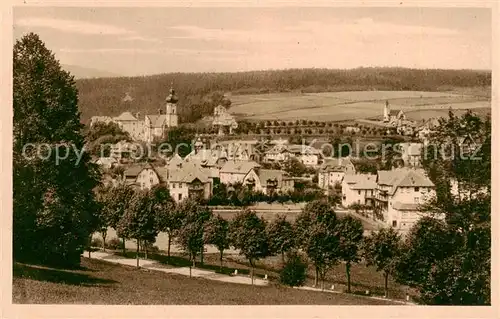 AK / Ansichtskarte 73818811 Bad_Altheide_Polanica-Zdrój Panorama 