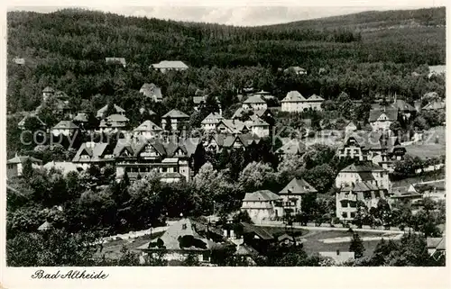 AK / Ansichtskarte 73818839 Bad_Altheide_Polanica-Zdrój Panorama 