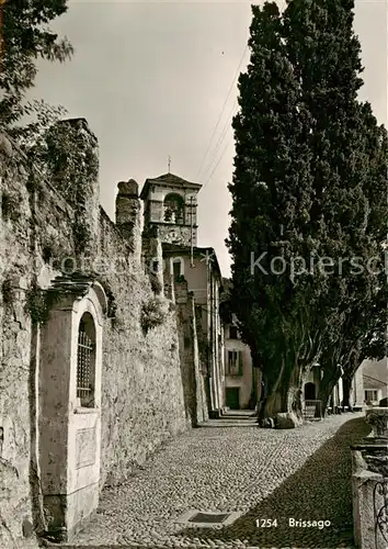 AK / Ansichtskarte Brissago_Lago_Maggiore_TI Ortsmotiv 