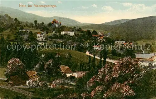 AK / Ansichtskarte 73819294 Hain__Giersdorf_Riesengebirge_Podgorzy_PL Panorama 