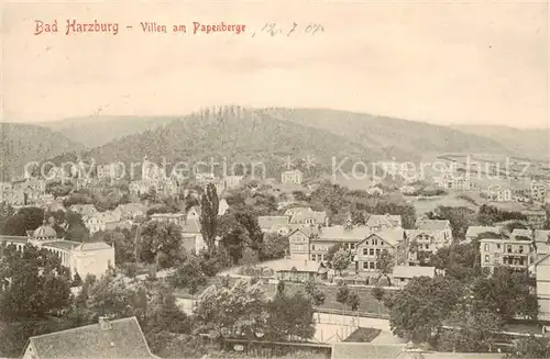 AK / Ansichtskarte 73819578 Bad_Harzburg Villen am Papenberge Bad_Harzburg