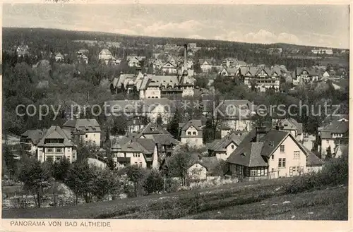 AK / Ansichtskarte 73819811 Bad_Altheide_Polanica-Zdrój Panorama 