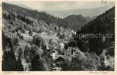 AK / Ansichtskarte 73820188 Woelfelsgrund_Glatz_PL Schneeberg Strasse 