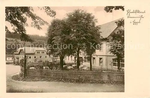 AK / Ansichtskarte 73820752 Bienenmuehle_Rechenberg_Osterzgebirge Gasthof Bienenmuehle 